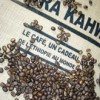 terra-kahwa