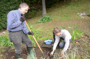 cours-jardinage